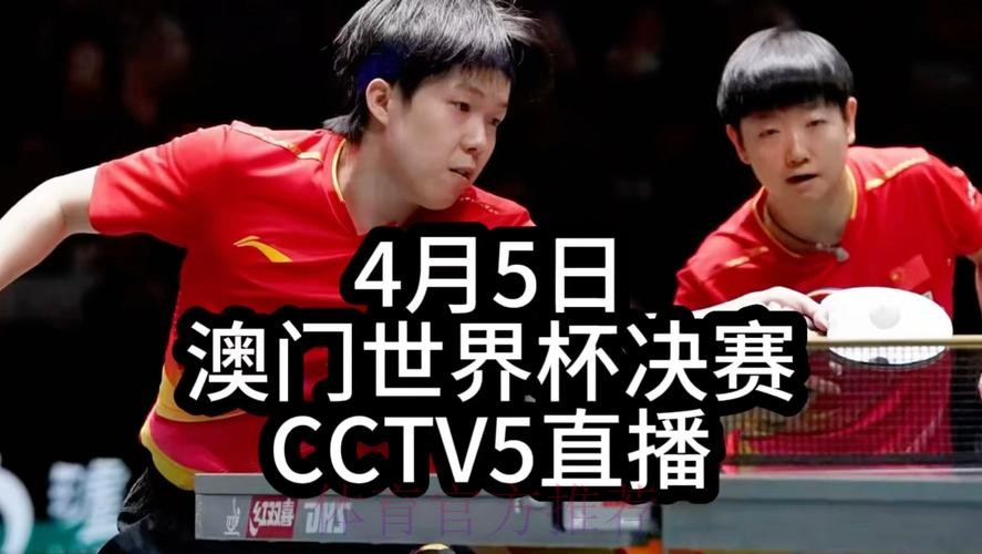 全程直播世界杯乒乓球精彩赛事 全程直播世界杯乒乓球精彩赛事
